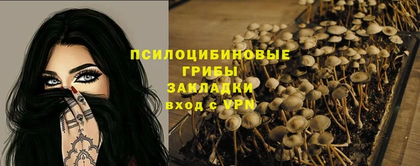 индика Абаза