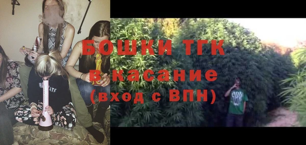 индика Абдулино