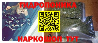 PSILOCYBIN Долгопрудный