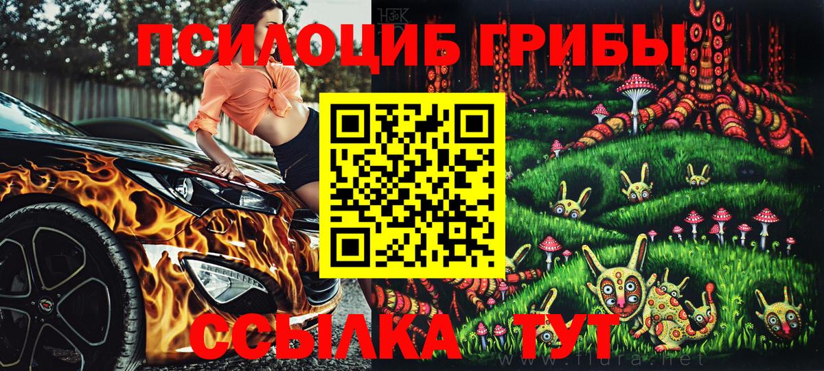 Карасук  Псилоцибиновые грибы ЛСД  Вход с VPN  Псилоцибиновые грибы мицелий 