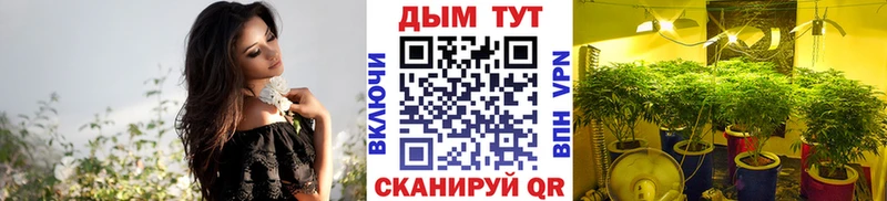 Конопля марихуана  Карасук 